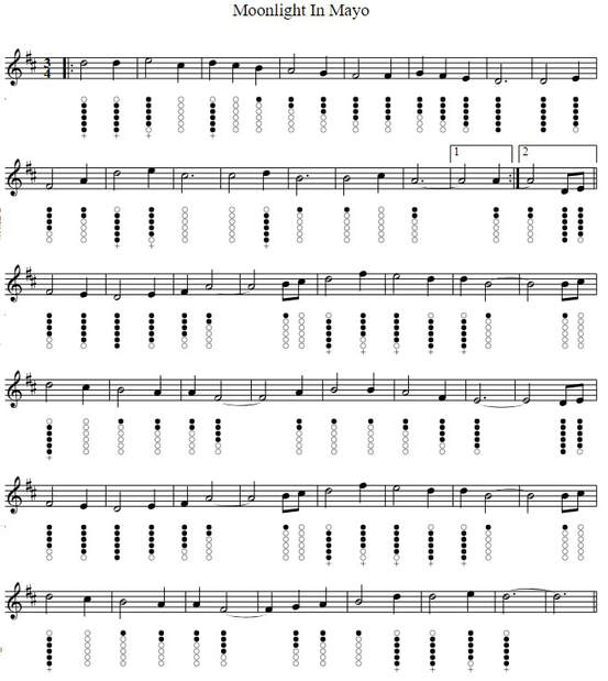 Moonlight in Mayo sheet music for tin whistle