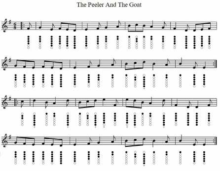 The peeler and the goat sheet music for tin whistle