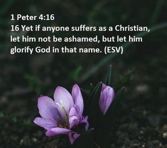 Peter 4-16