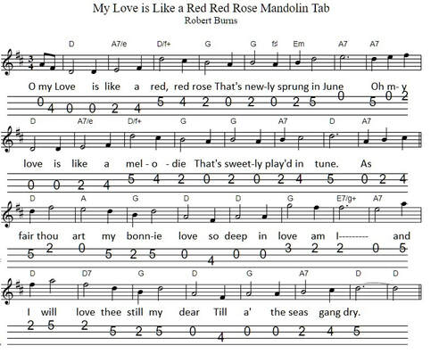 My love is like a red rose mandolin sheet music tab