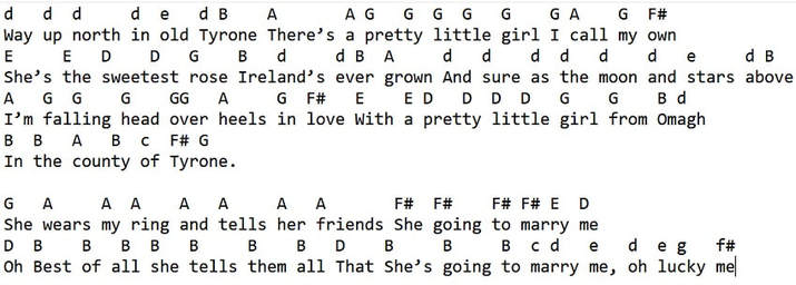 Pretty little girl from Omagh tin whistle letter notes