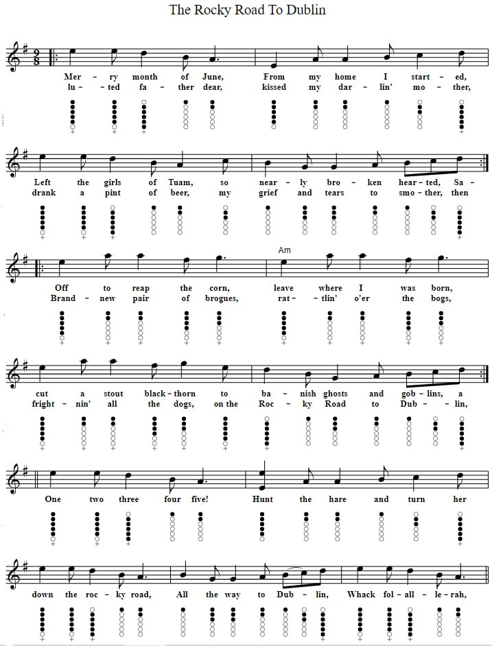 Rocky road to dublin sheet music and tin whistle notes by The Dubliners