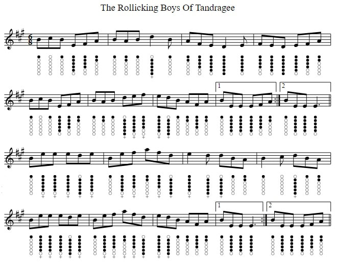 Rollicking boys of tandragee tin whistle sheet music notes