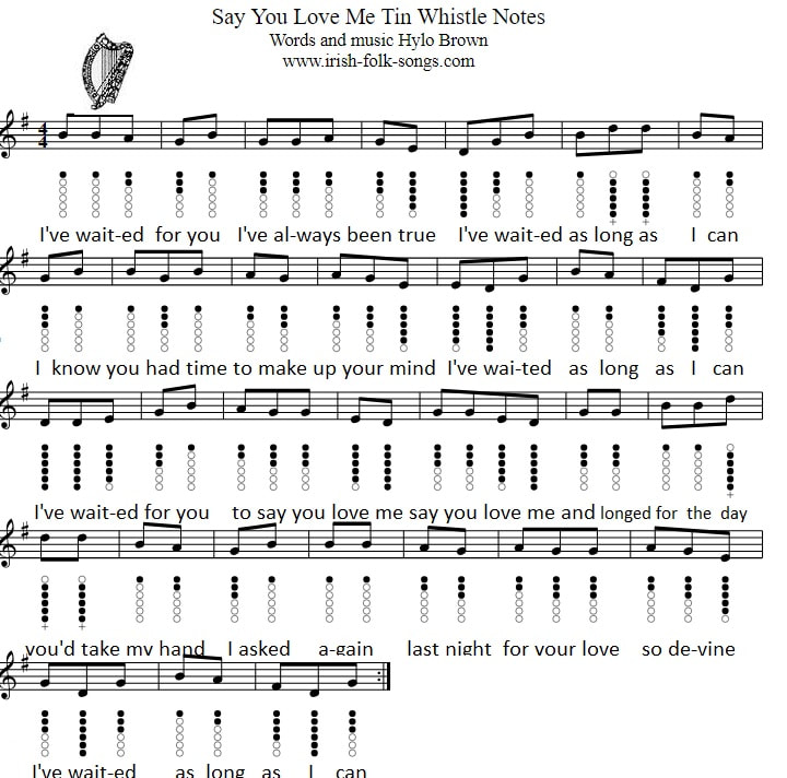 Tin whistle sheet music for Say You Love Me