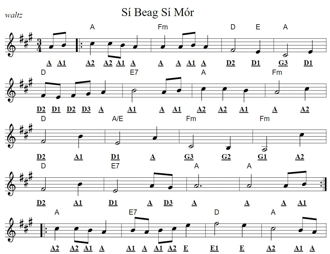 Si beag si mor fiddle tab for beginners