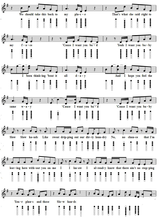 Slow hands Niall Horan song tin whistle sheet music