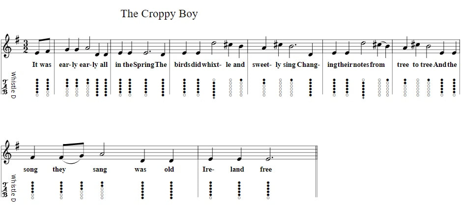 The Croppy boy tin whistle sheet music notes