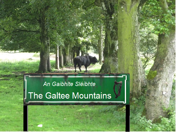 The Galtee Mountains Old Road Sign