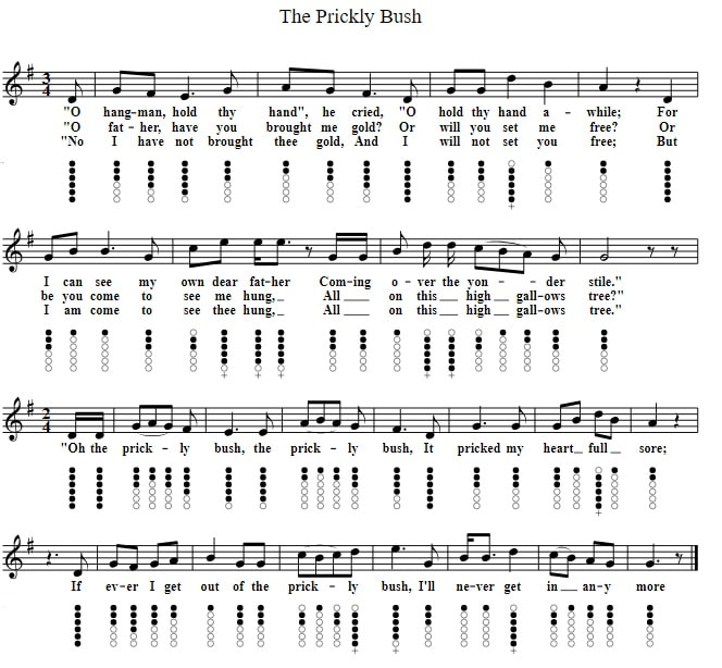 The prickly bush tin whistle sheet music