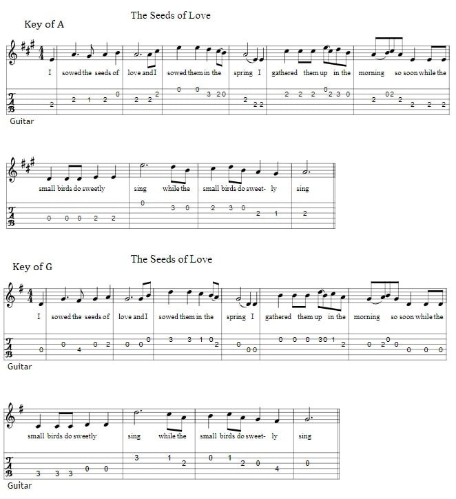 The seeds of love guitar tab