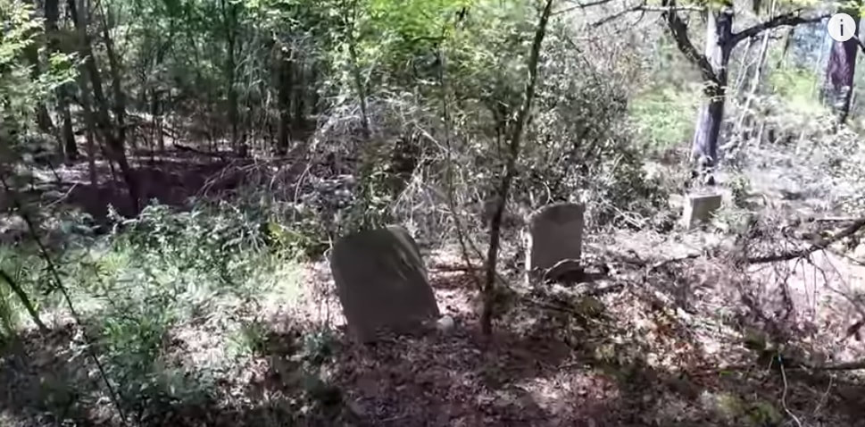 An old overgrown Cemetery with grave stones and trees