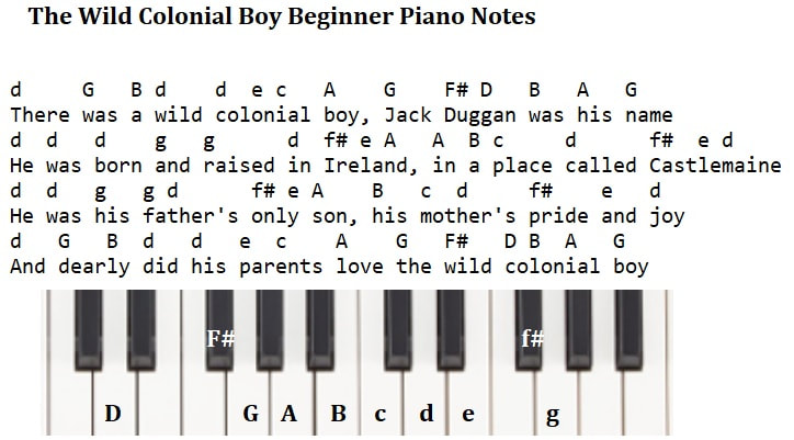 The wild colonial boy easy beginner piano notes