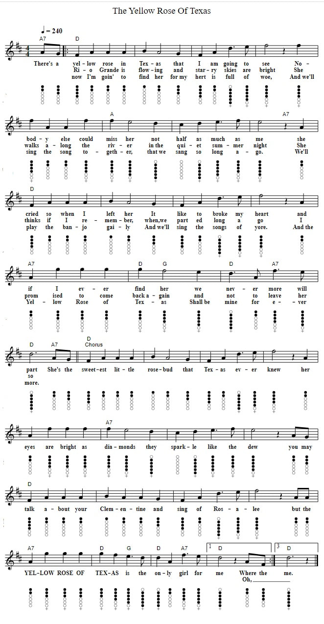 The yellow roses of Texas tin whistle tab with lyrics and chords in D Major