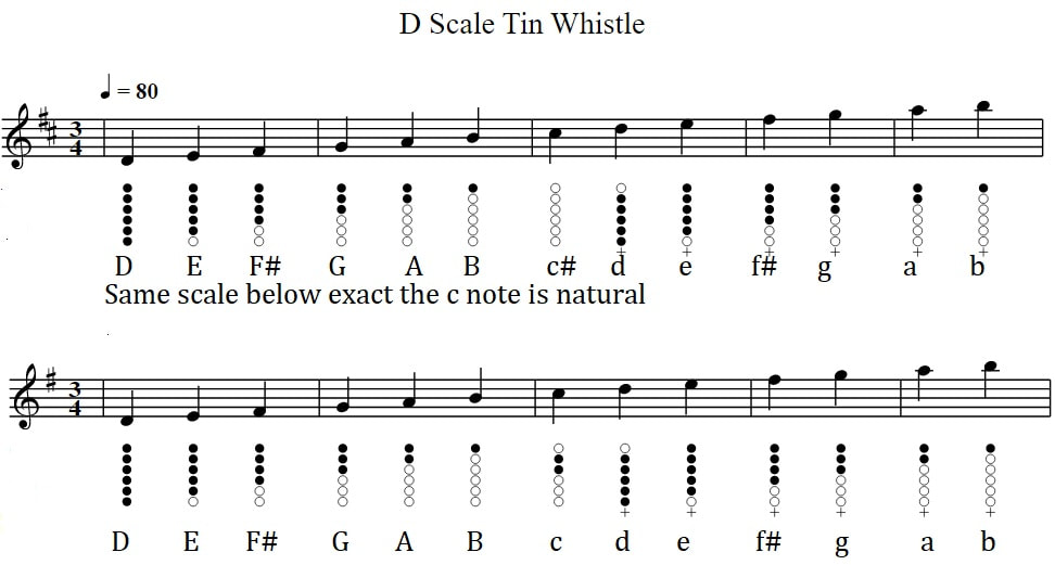 Tin whistle scale of D For beginners