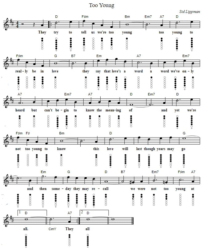 To Young Tin Whistle Sheet Music with guitar chords