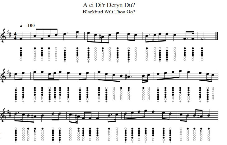 A Ei Di’R ’Deryn Du? sheet music notes