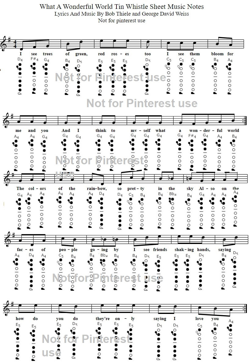 What a wonderful world easy flute notes