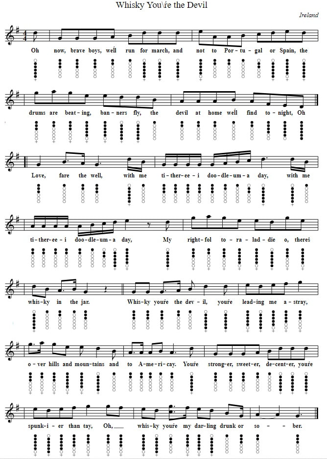 Whiskey your the devil tin whistle sheet music notes