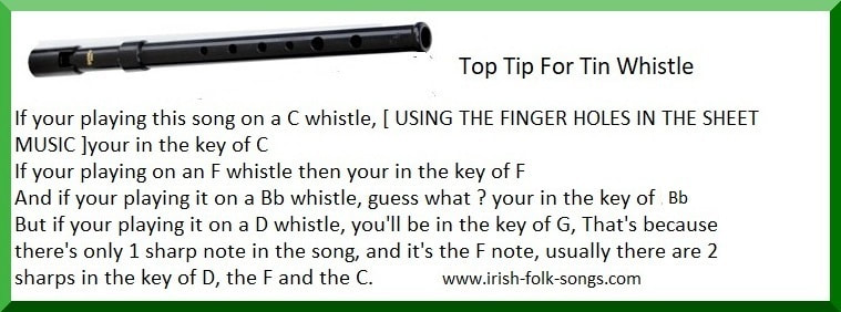 Tin whistle keys guide