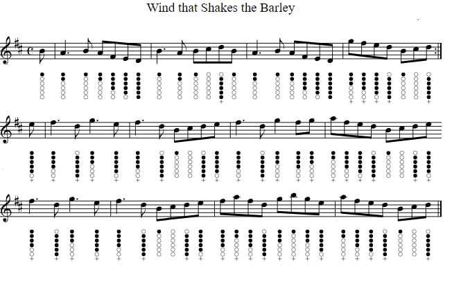 The wind that shakes the barley tin whistle sheet music notes